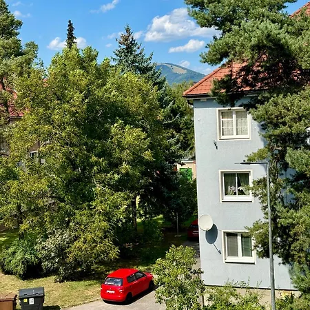 Dvojizbovy Mitro *